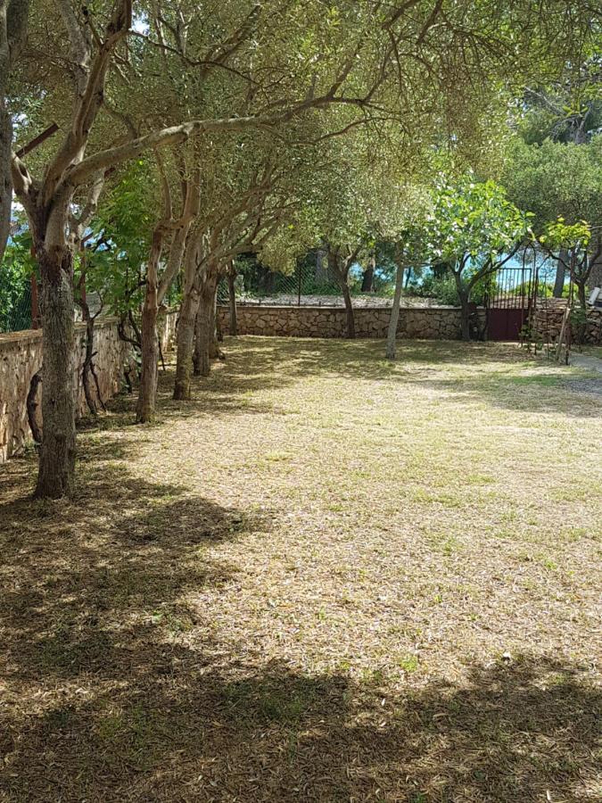 Apartman Lugovic Šibenik Exteriör bild